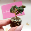 Edelsteenboompje × Groene Jade | brengt harmonie, zuiverheid