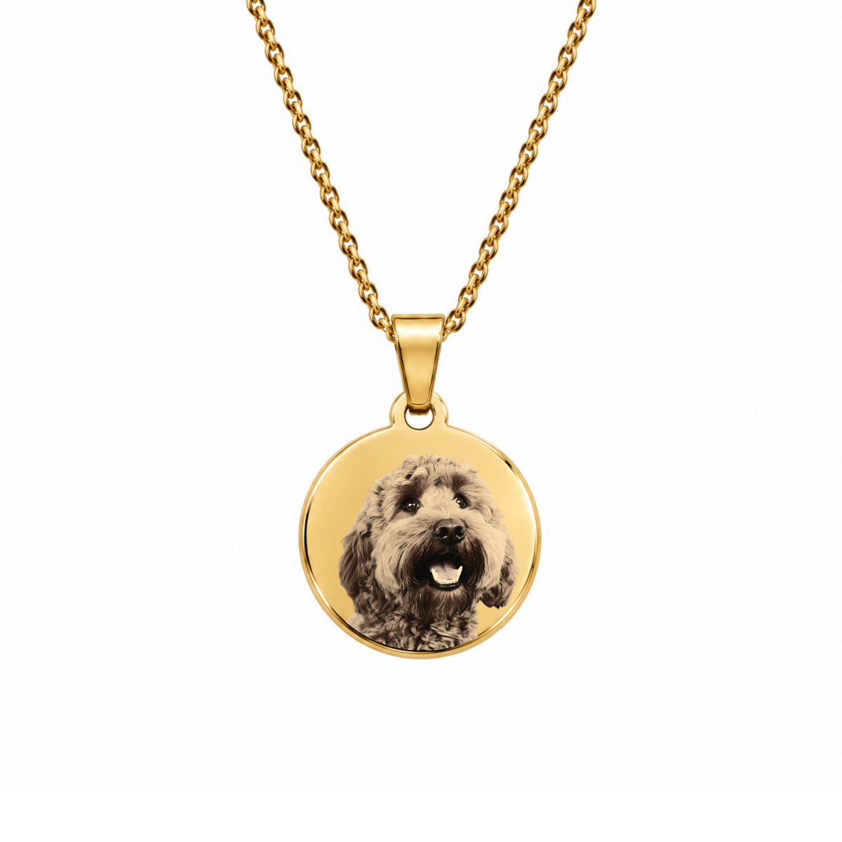Pet Necklace | ○