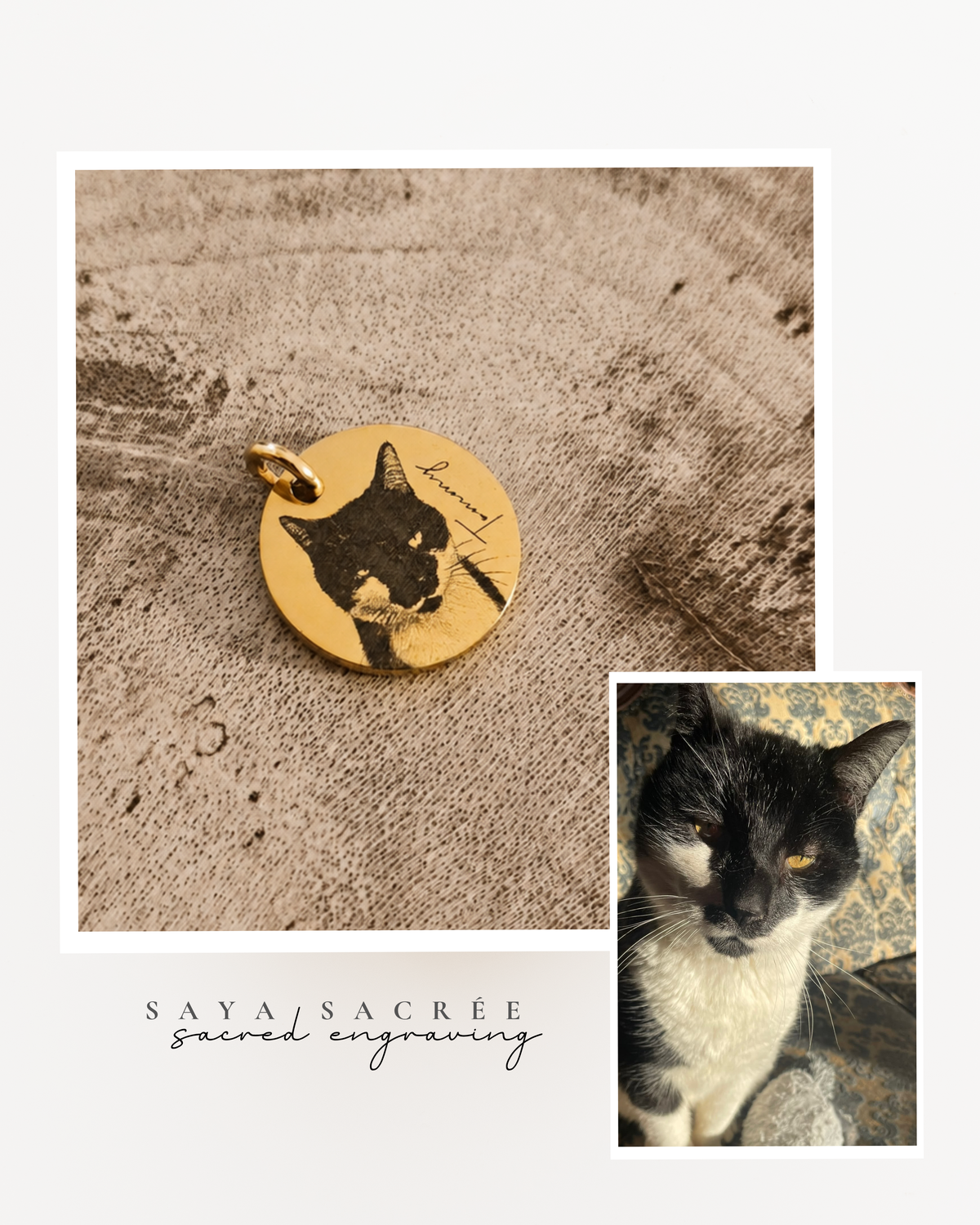Pet Necklace | ○