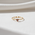 Birthstone Ring January