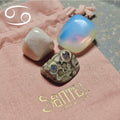 Set × Kreeft