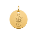 The Plant