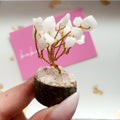 Edelsteinbaum × Weißer Quarz