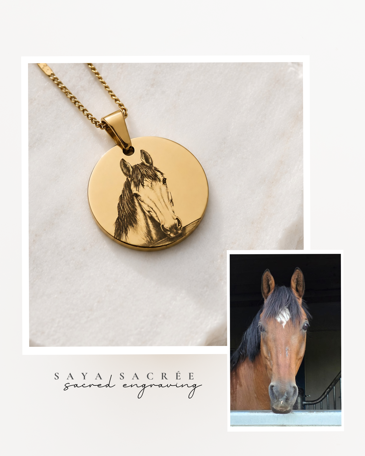 Pet Necklace | ○